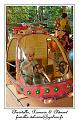 IMG_6499_RD