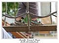 IMG_6544_RD