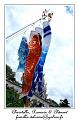 P1020541_RD