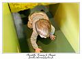 IMG_6143_RD