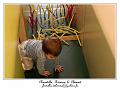 IMG_6146_RD