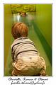 IMG_6165_RD
