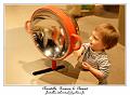 IMG_6213_RD