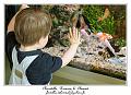 IMG_5994_RD