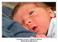IMG_6796_RD