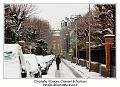 IMG_7553_RD