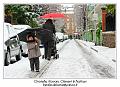 IMG_7556_RD