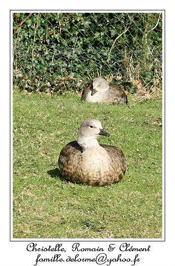 IMG_5623_RD.jpg