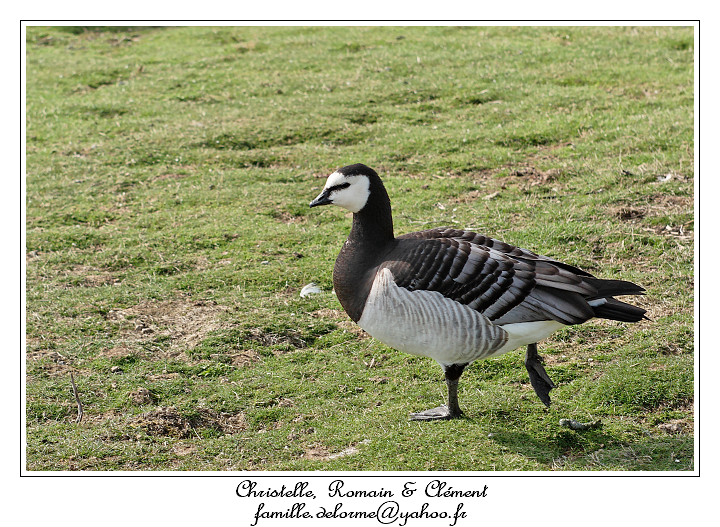 IMG_5643_RD.jpg