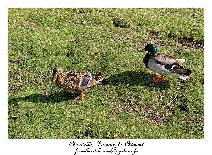 IMG_5671_RD.jpg