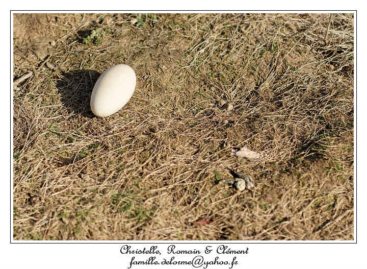 IMG_5689_RD.jpg