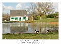 IMG_5589_RD