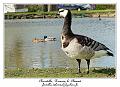 IMG_5593_RD