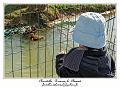IMG_5609_RD