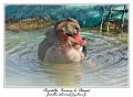 IMG_5610_RD