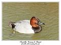 IMG_5624_RD
