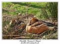 IMG_5626_RD