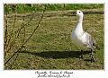 IMG_5629_RD