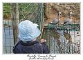IMG_5633_RD