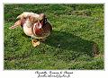 IMG_5641_RD