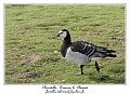IMG_5643_RD