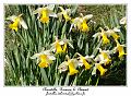 IMG_5645_RD