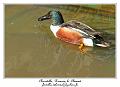 IMG_5646_RD