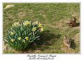 IMG_5649_RD