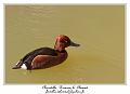 IMG_5659_RD