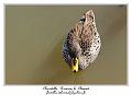 IMG_5661_RD