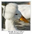 IMG_5666_RD