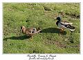 IMG_5671_RD
