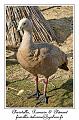 IMG_5674_RD