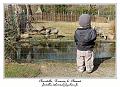 IMG_5676_RD