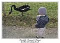 IMG_5680_RD