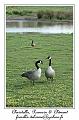 IMG_5683_RD