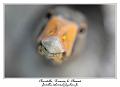 IMG_5685_RD