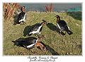 IMG_5691_RD