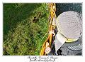 IMG_5697_RD