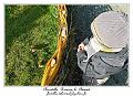 IMG_5699_RD