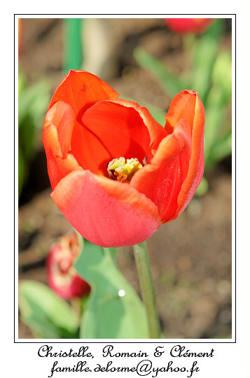 IMG_5806_RD.jpg