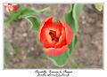 IMG_5741_RD