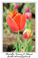 IMG_5813_RD