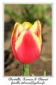 IMG_5817_RD