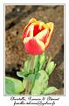 IMG_5819_RD