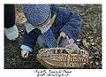 Chasse_aux_oeufs