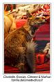 IMG_7377_RD