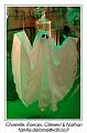 IMG_7391_RD