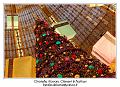 IMG_7417_RD