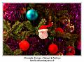 IMG_7448_RD